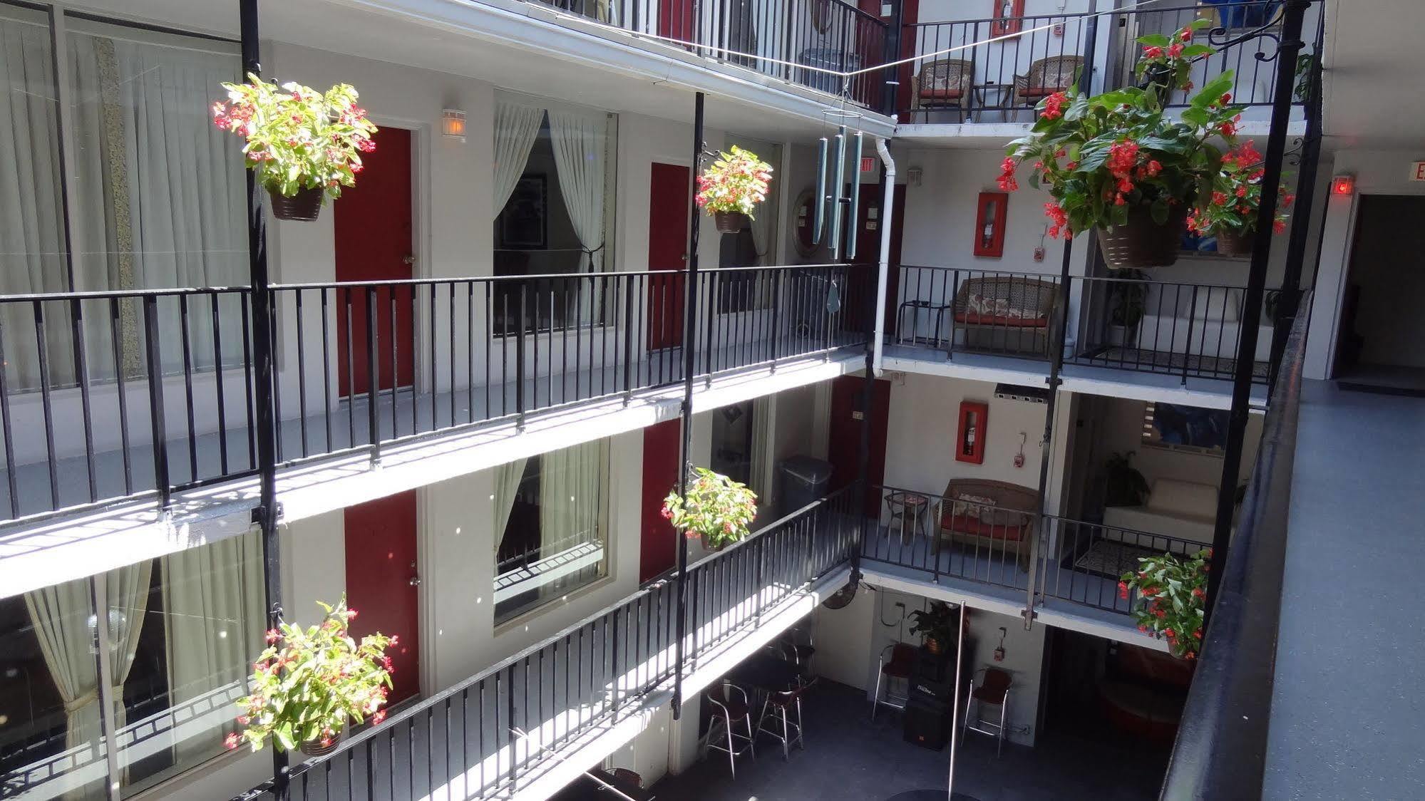 Rooftop Resort - Clothing Optional - Adult Only Hollywood Exterior photo